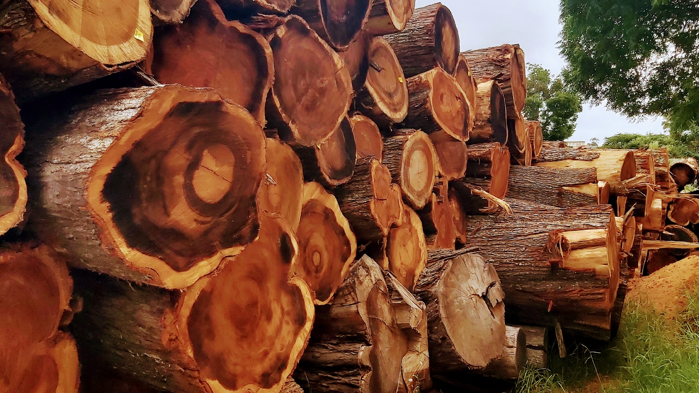 Knysna Timber Adam Stander Houtverkope