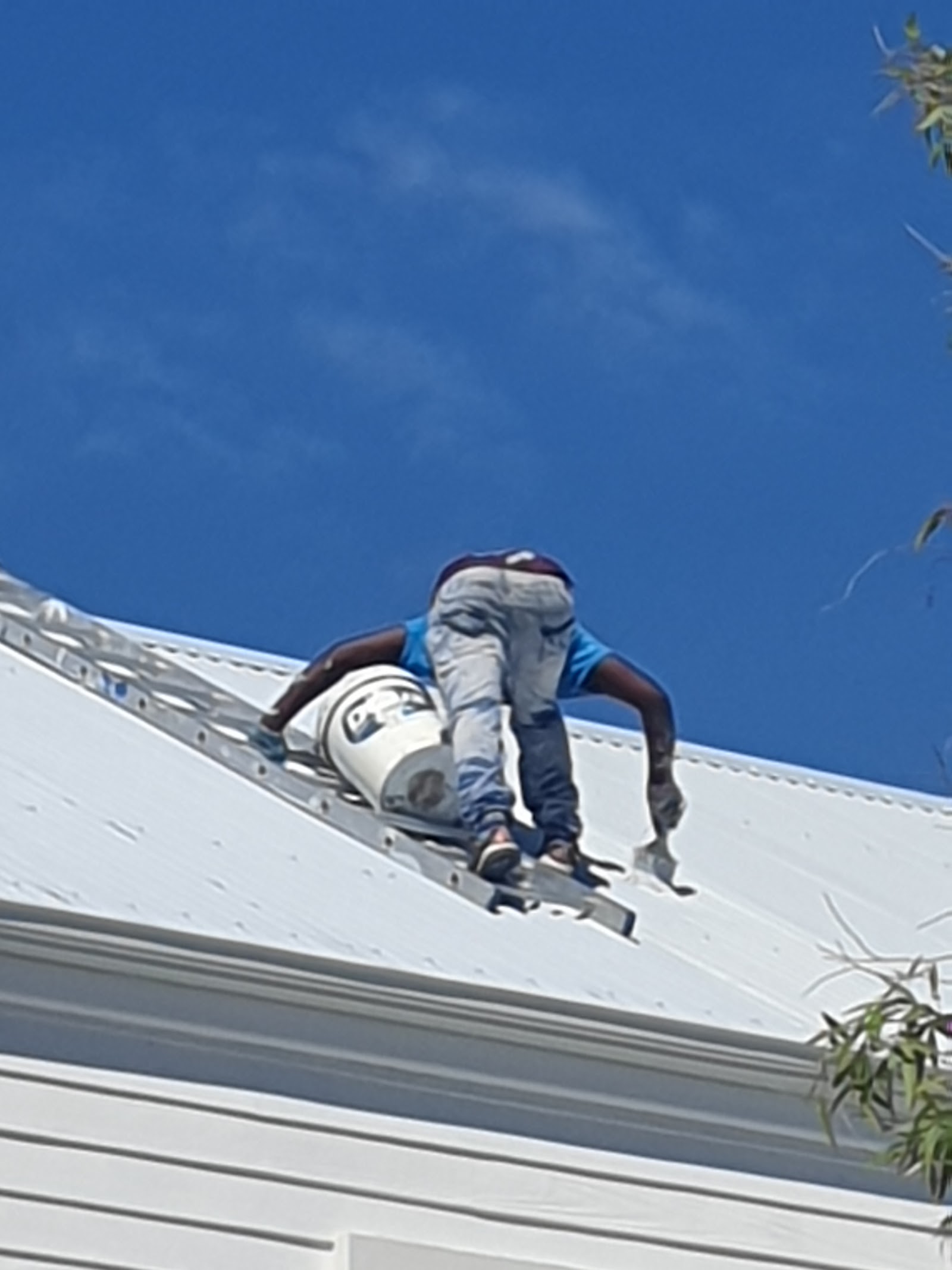 knysna window/Gutter and general cleraning