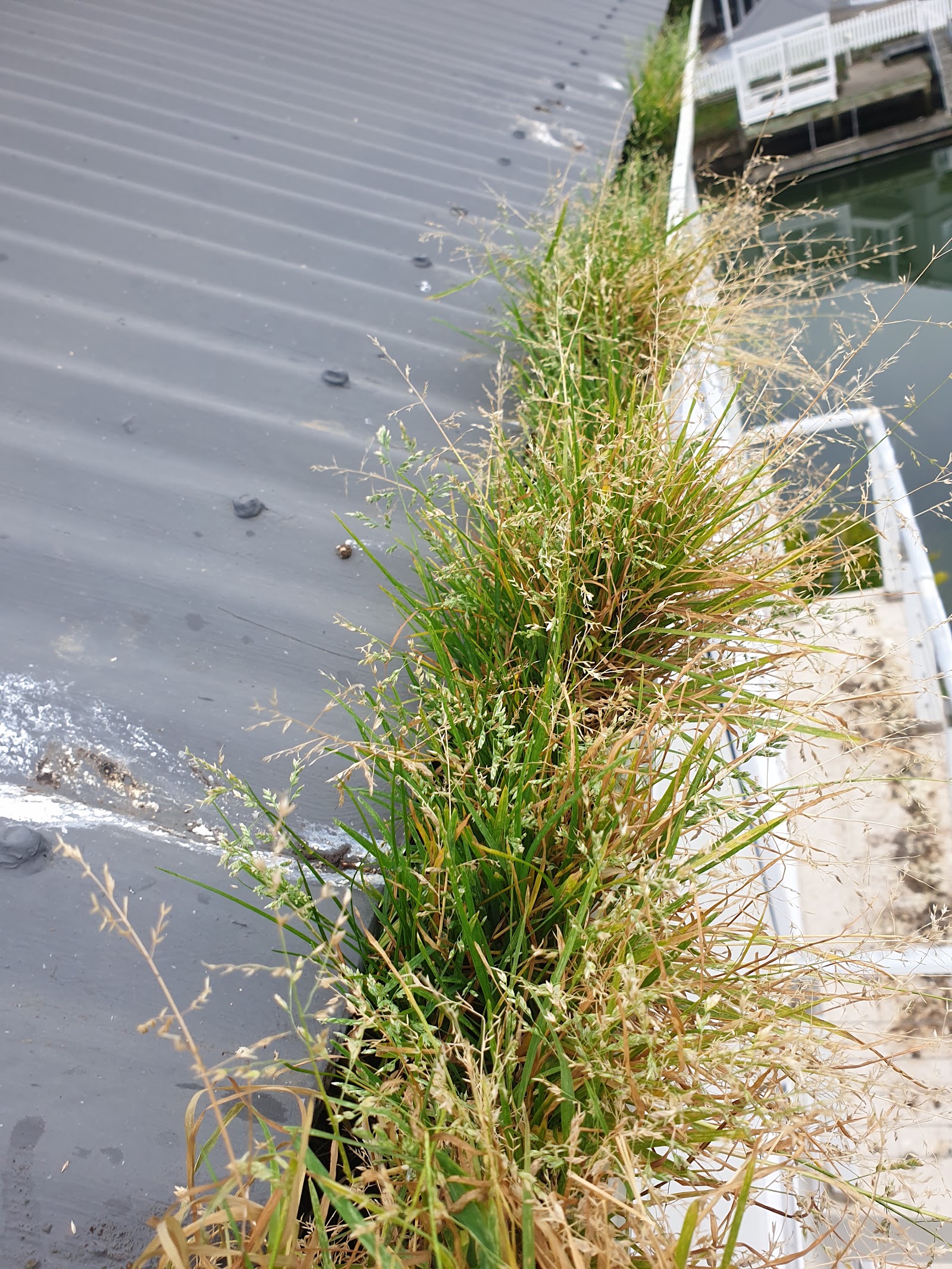 knysna window/Gutter and general cleraning