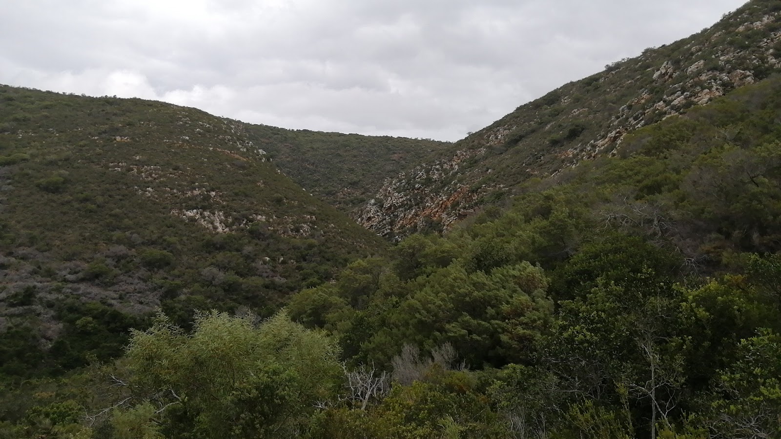 Scenic valley landscape with rocky hillsides, dense green vegetation, and natural terrain—no buildings or commercial work visible.
