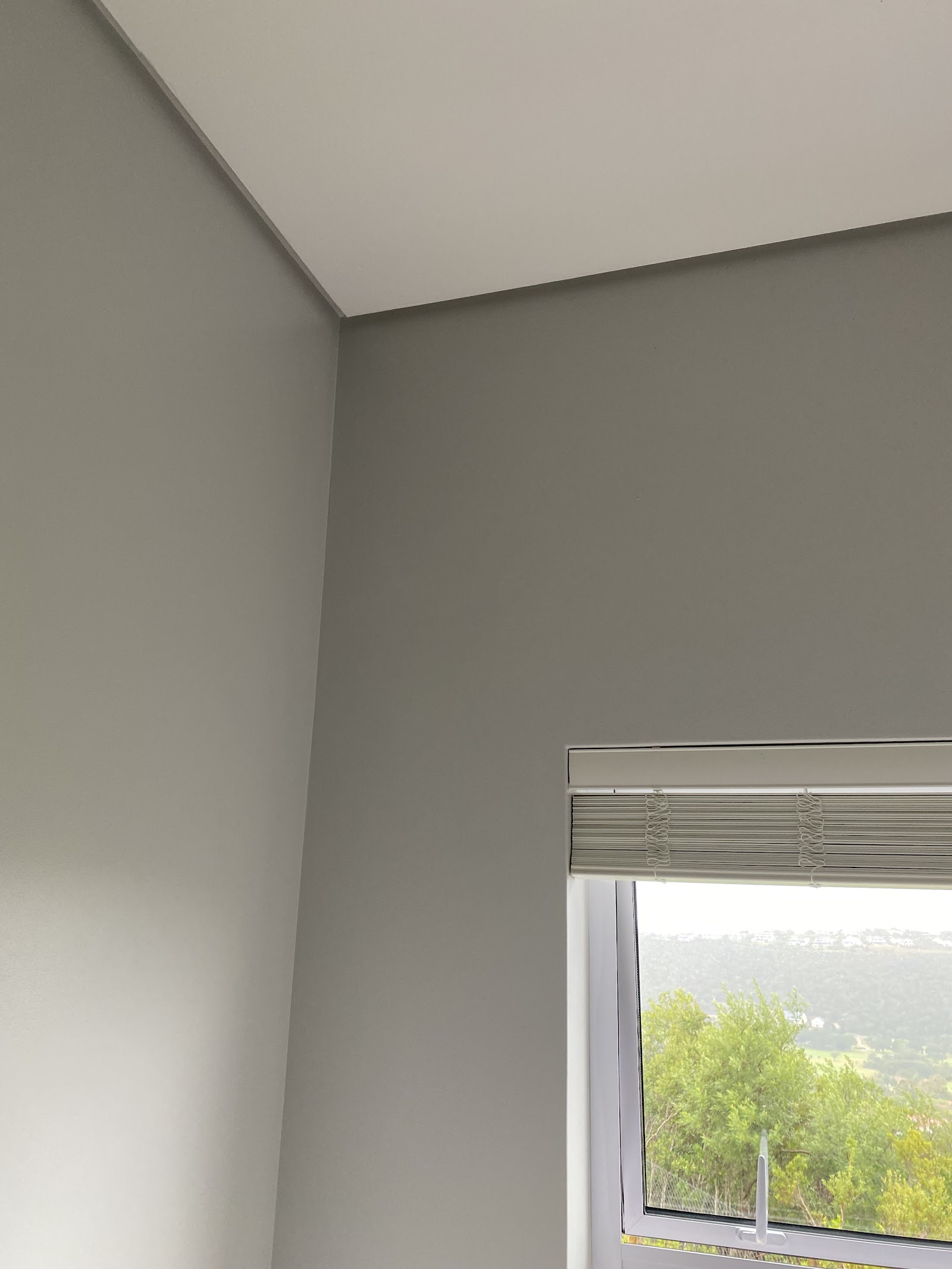Interior room corner with window, closed blinds, white walls, and exterior landscape view.