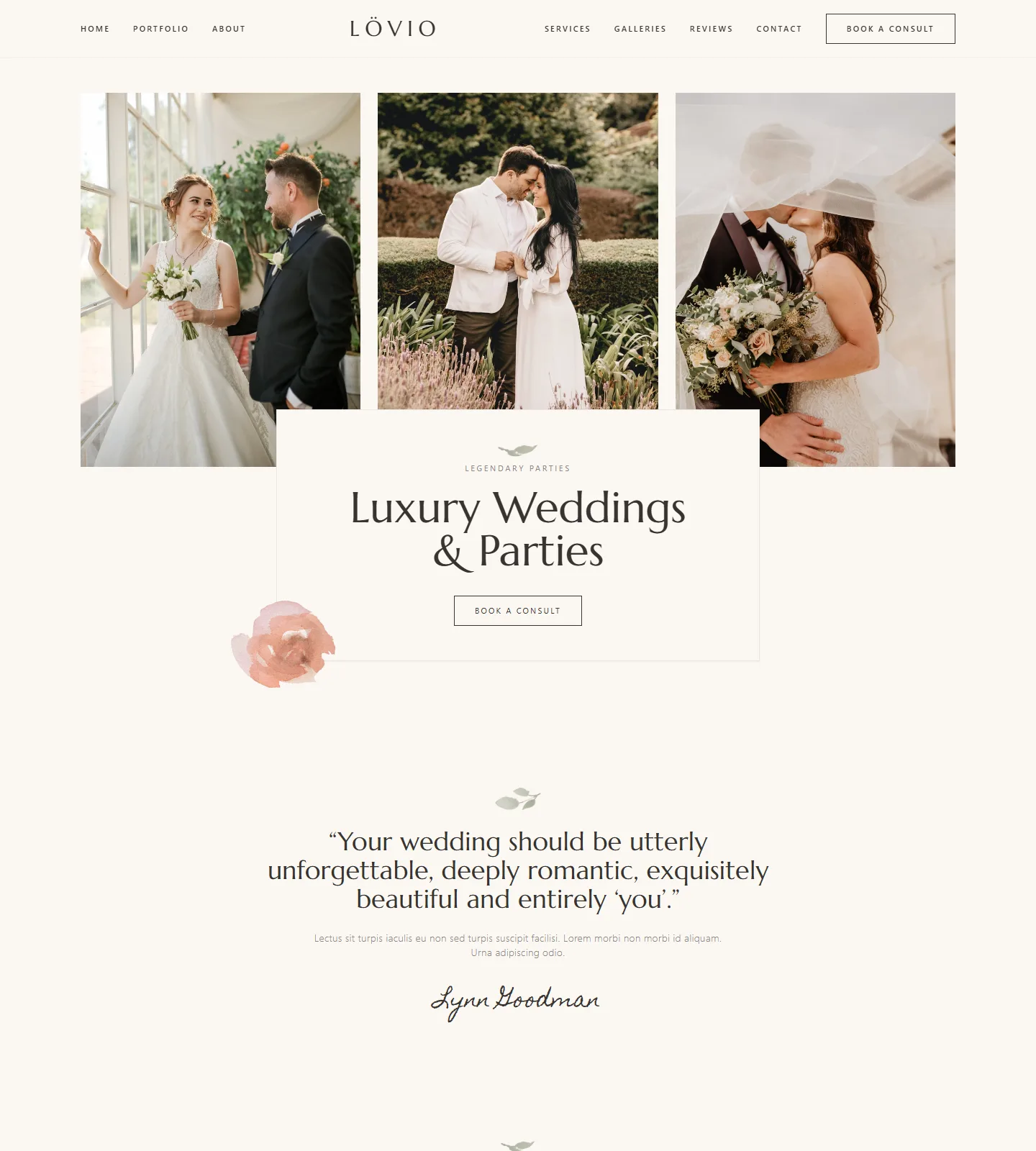Lövio Website Template